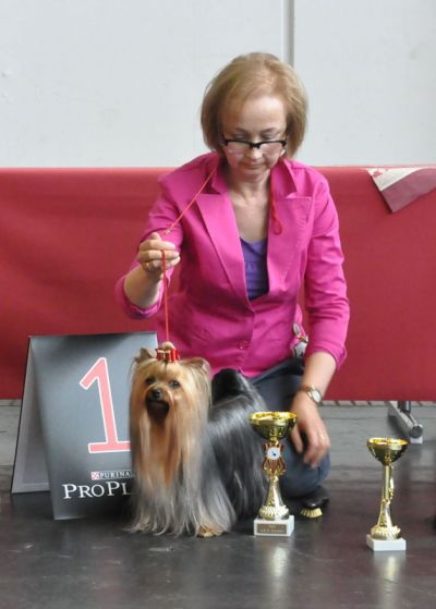 Radas Victory Hole In One 2