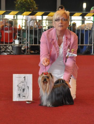 Radas Victory In The Spotlight