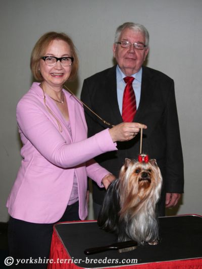 Radas Victory In The Spotlight