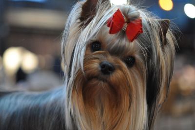 Radas Victory Name Quite A Catch 2