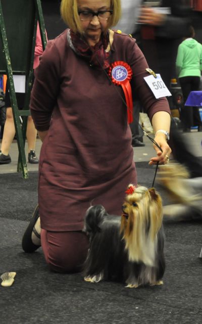 Radas Victory Quite A Catch 4