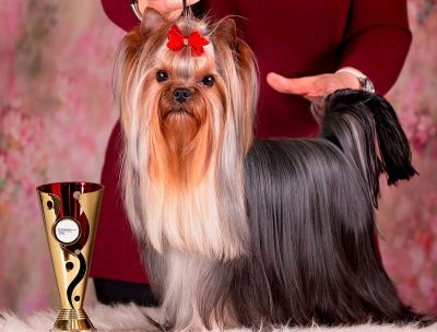 Radas Victory Quite A Catch ch1