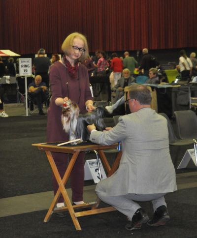 Radas Victory Quite A Catch 2