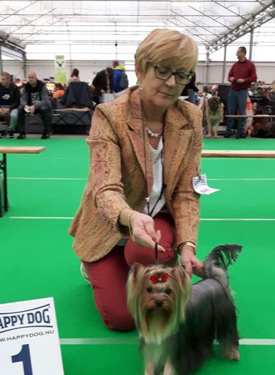 Radas Victory Name Of The Game