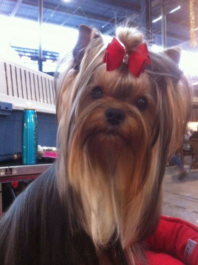 Radas Victory Name Quite A Catch 1