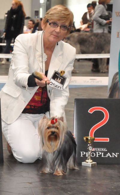 Radas Victory In The Spotlight