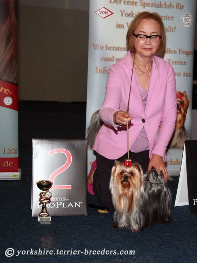 Radas Victory In The Spotlight 2