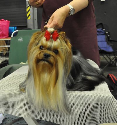 Radas Victory Quite A Catch 1