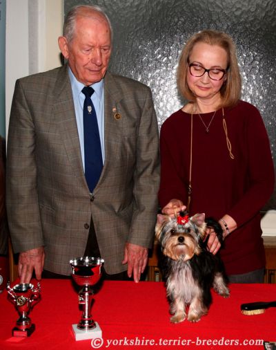 Radas Victory Nothing But Love