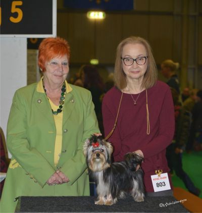 Radas Victory Nothing But Love