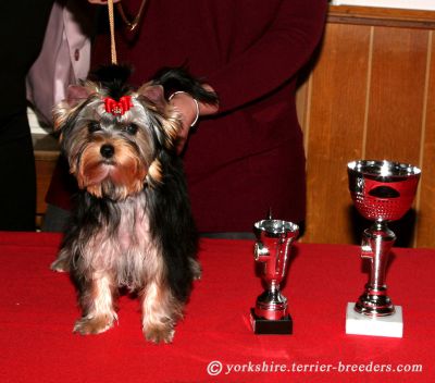 Radas Victory Nothing But Love 2