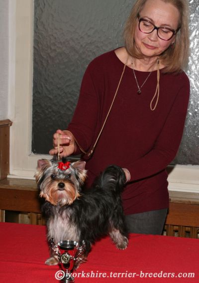 Radas Victory Nothing But Love 3