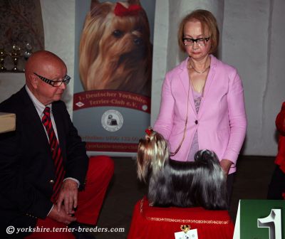 Radas Victory In The Spotlight