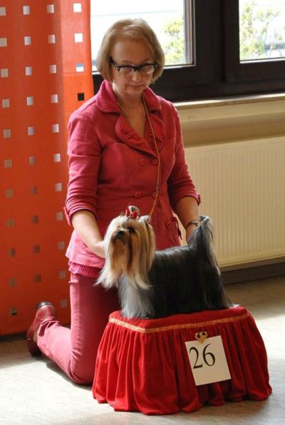 Radas Victory In The Spotlight