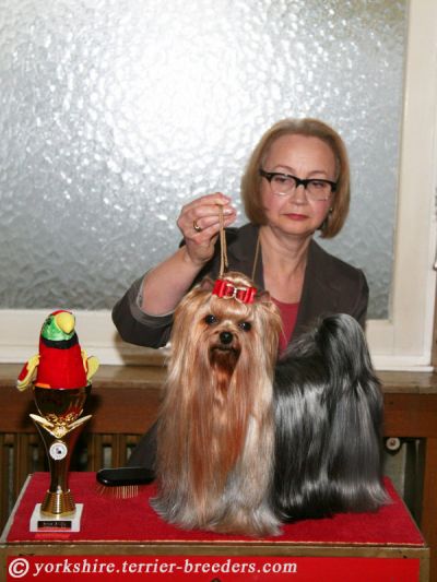 Radas Victory Hole In One 2