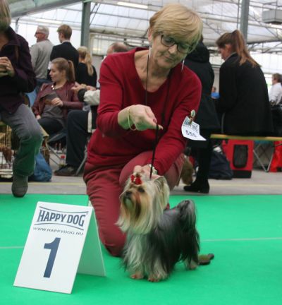 Radas Victory Nothing But Love