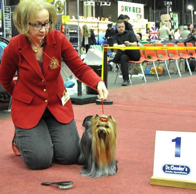 Radas Victory Hole In One