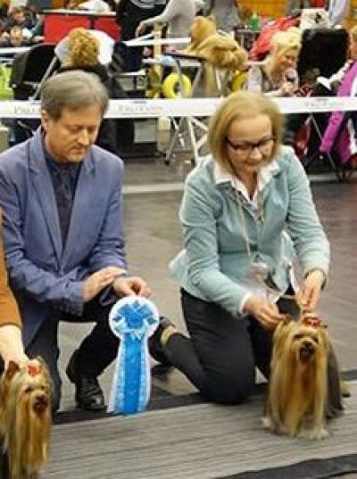 Radas Victory Hole In One