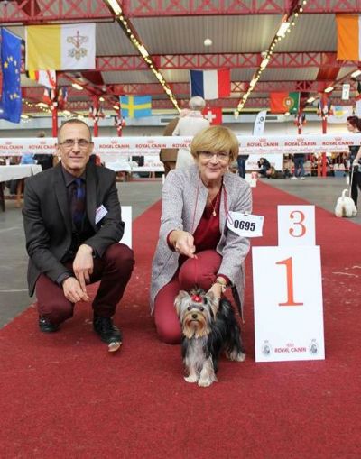 Radas Victory Nothing But Love