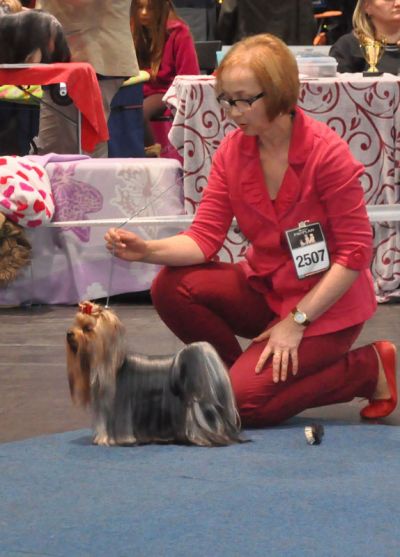 Radas Victory Hole In One