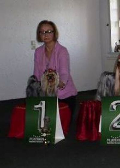 Radas Victory In The Spotlight 2