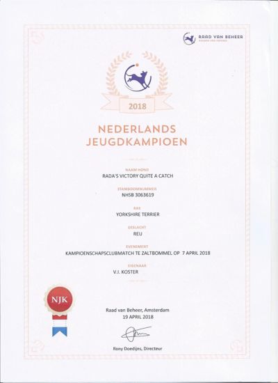 Radas Victory Quite A Catch ch2