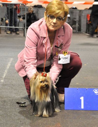 Radas Victory In The Spotlight