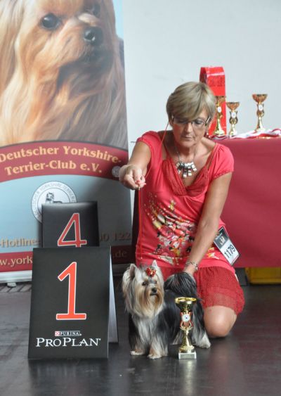 Radas Victory In The Spotlight