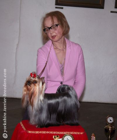 Radas Victory In The Spotlight 2