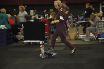 Radas Victory Quite A Catch 3